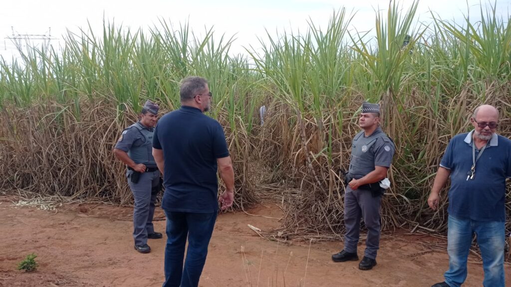 Corpo de mulher é encontrado em canavial de Limeira