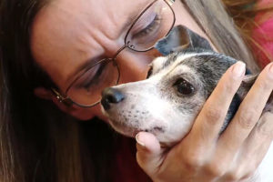 Mulher reencontra cadela após 12 anos e a cerca de 1.600 km de distância