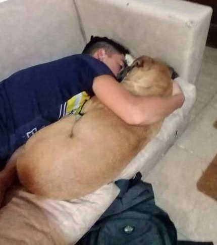 Cadela morre abraçada ao dono após ataque cardíaco por causa de fogos de artifícios