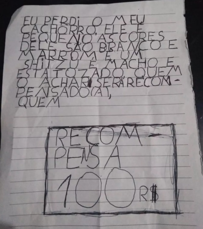 Criança escreve carta e oferece recompensa do próprio cofrinho para quem achar cachorro perdido — Foto: Arquivo Pessoal/Bianca Oliveira dos Santos Goulart 