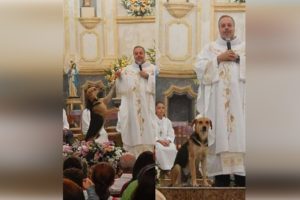 Defensor da causa animal, padre leva cães abandonados às missas para serem adotados