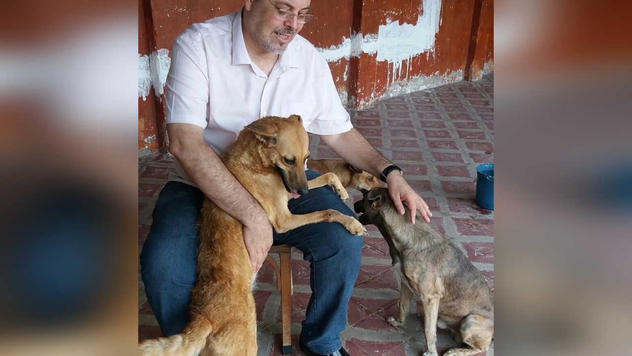 Defensor da causa animal, padre leva cães abandonados às missas para serem adotados