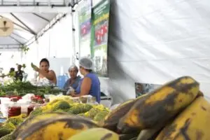 O que abre e o que fecha em Limeira