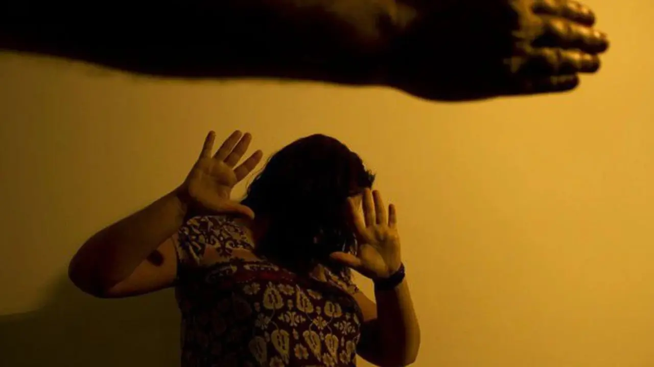 VIOLÊNCIA DOMÉSTICA LIMEIRA