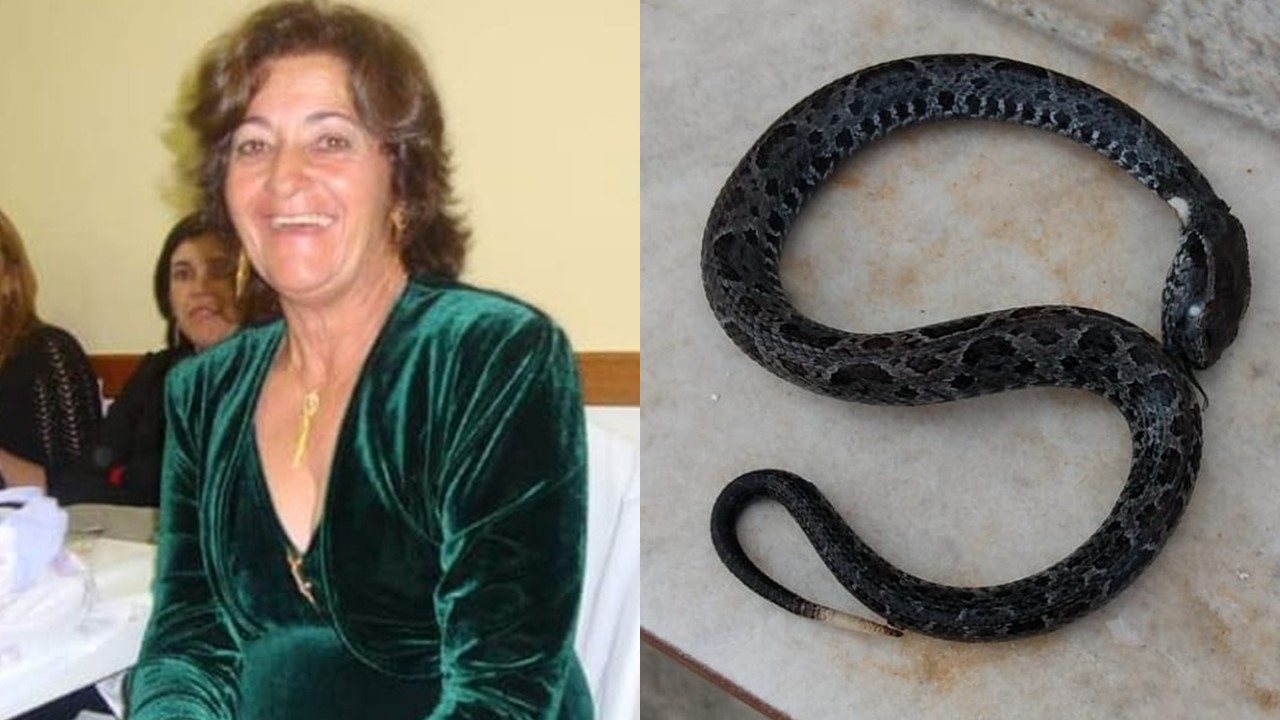 Mulher é picada por cobra e sofre dois AVCs