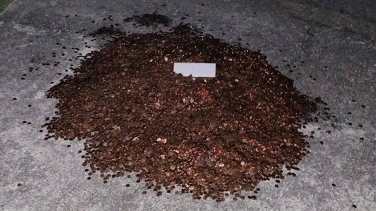 Patrão fica revoltado com pedido de demissão e faz acerto com 91.500 moedas de 1 centavo