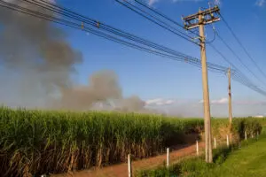 Carro em chamas é abandonado na rodovia Limeira/Mogi Mirim