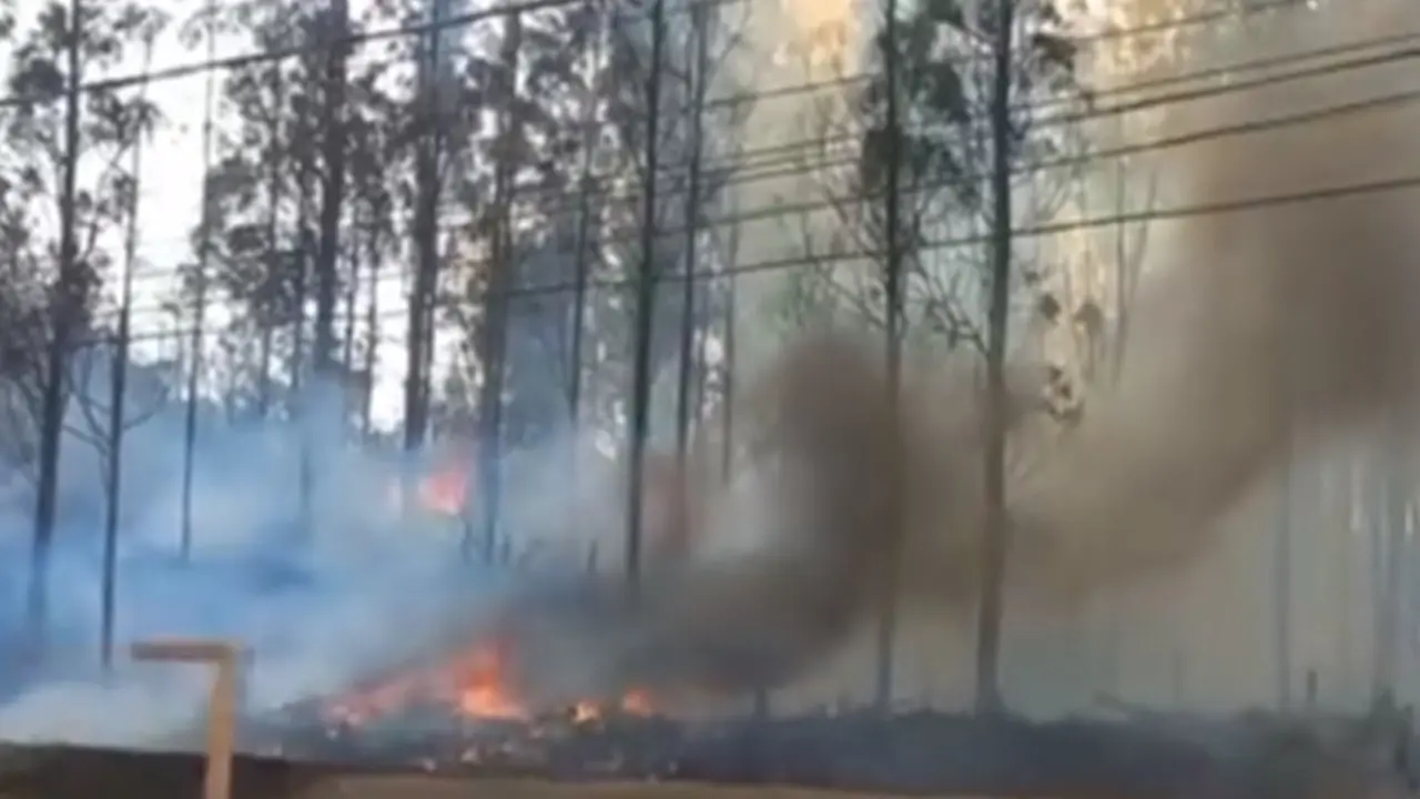 Avião de pequeno porte cai em Piracicaba