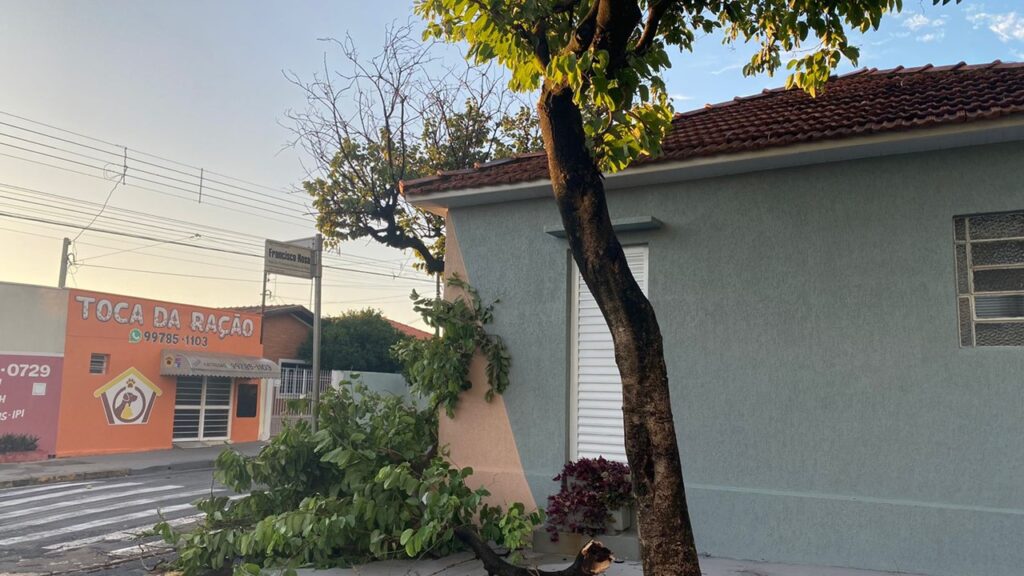 Após temporal, Limeira amanhece com dezenas de árvores caídas nesta quarta (19)