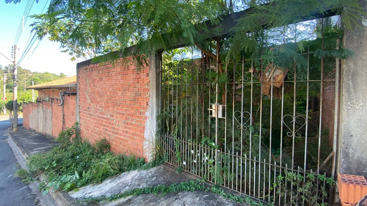 Casa abandonada atrai escorpiões e cobras no Adélia Cavicchia, em Limeira