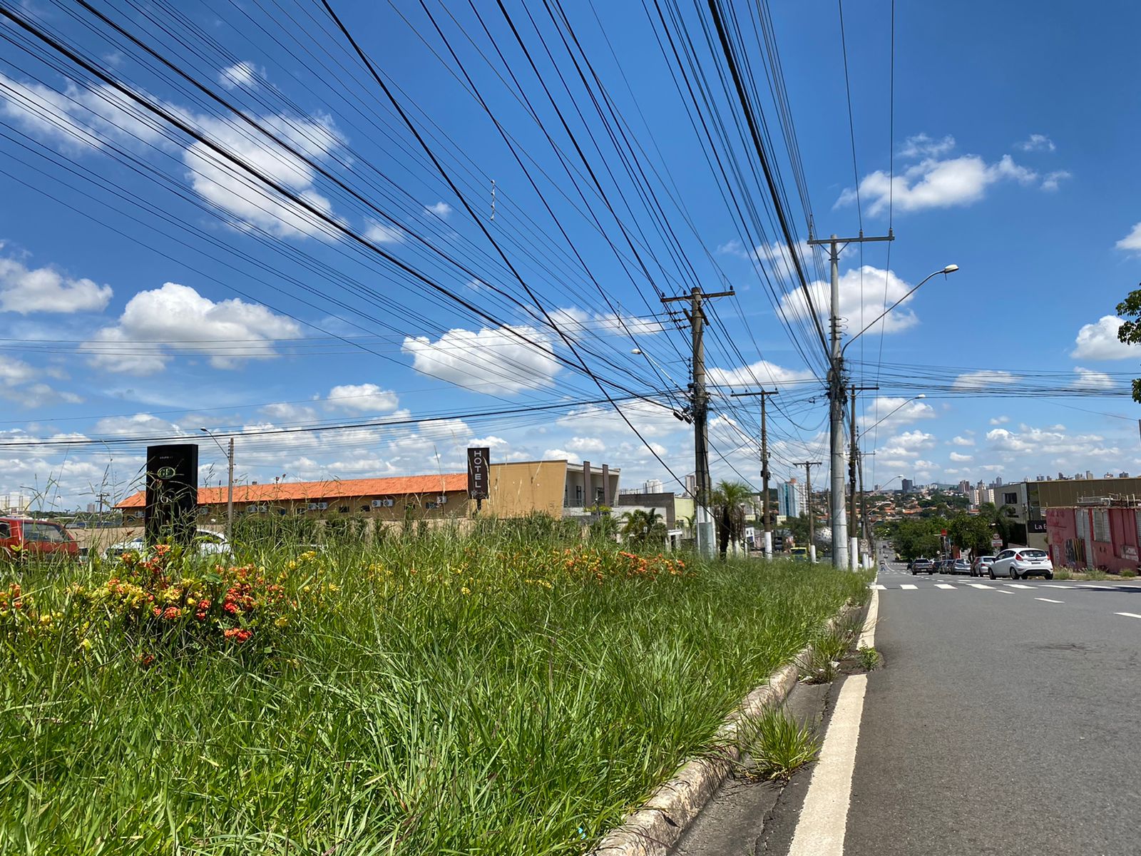 Empresários reclamam de mato alto e fios soltos no canteiro central do ‘Corredor da Joia de Limeira’