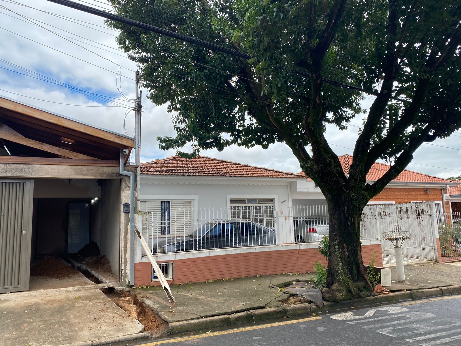 Árvore com raiz gigante causa prejuízos a moradora do Jardim Nossa Senhora do Amparo, em Limeira