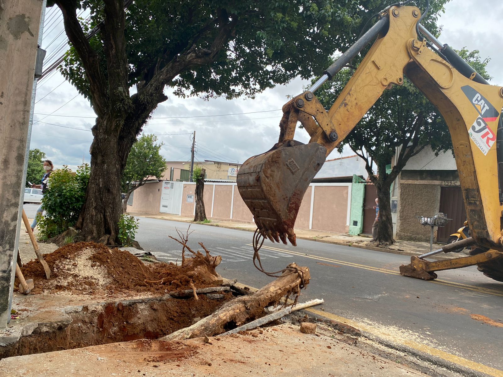 Após reportagem da Educadora, raiz de árvore que destruiu encanamento de casa é removida no Jardim Nossa Senhora do Amparo, em Limeira