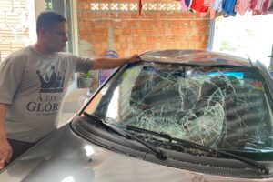 Desempregado, dono de carro atingido por árvore em Limeira espera proposta da Prefeitura para arcar com o prejuízo