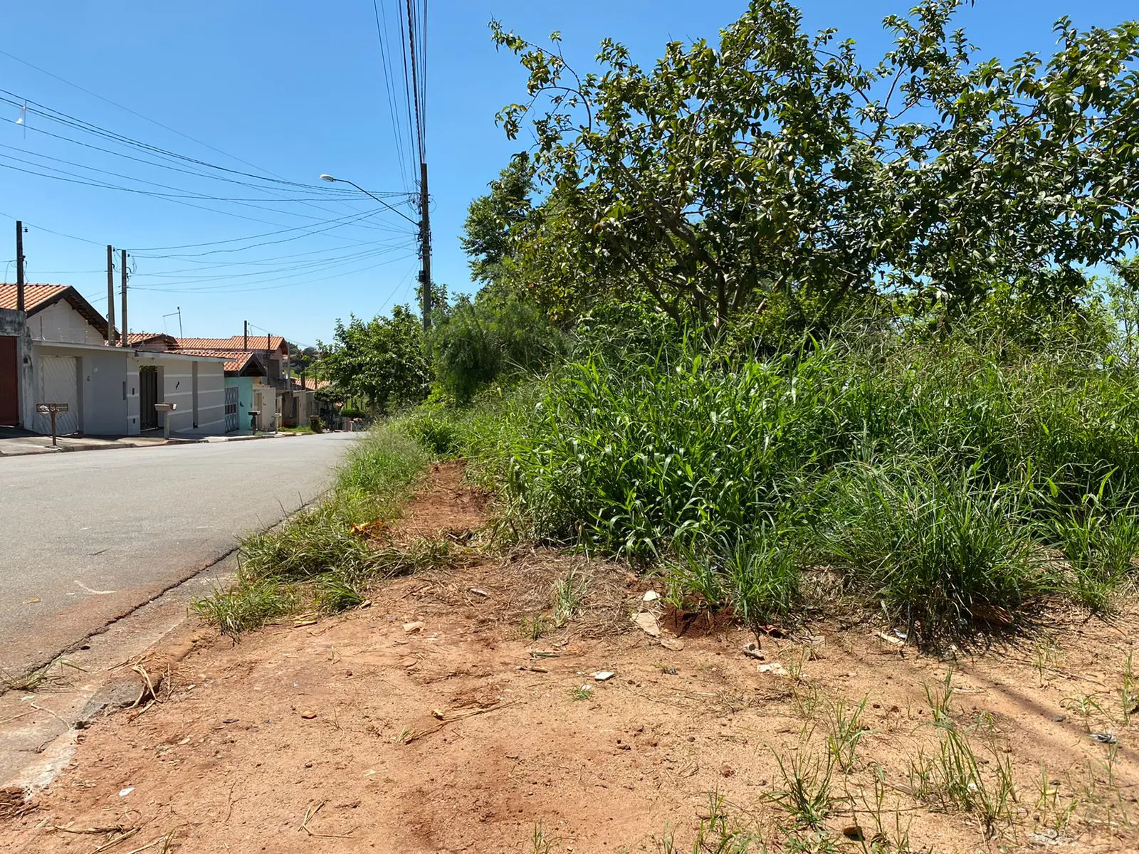 Moradores do Jardim Lagoa Azul, em Limeira, reclamam de mato alto e animais peçonhentos em área verde