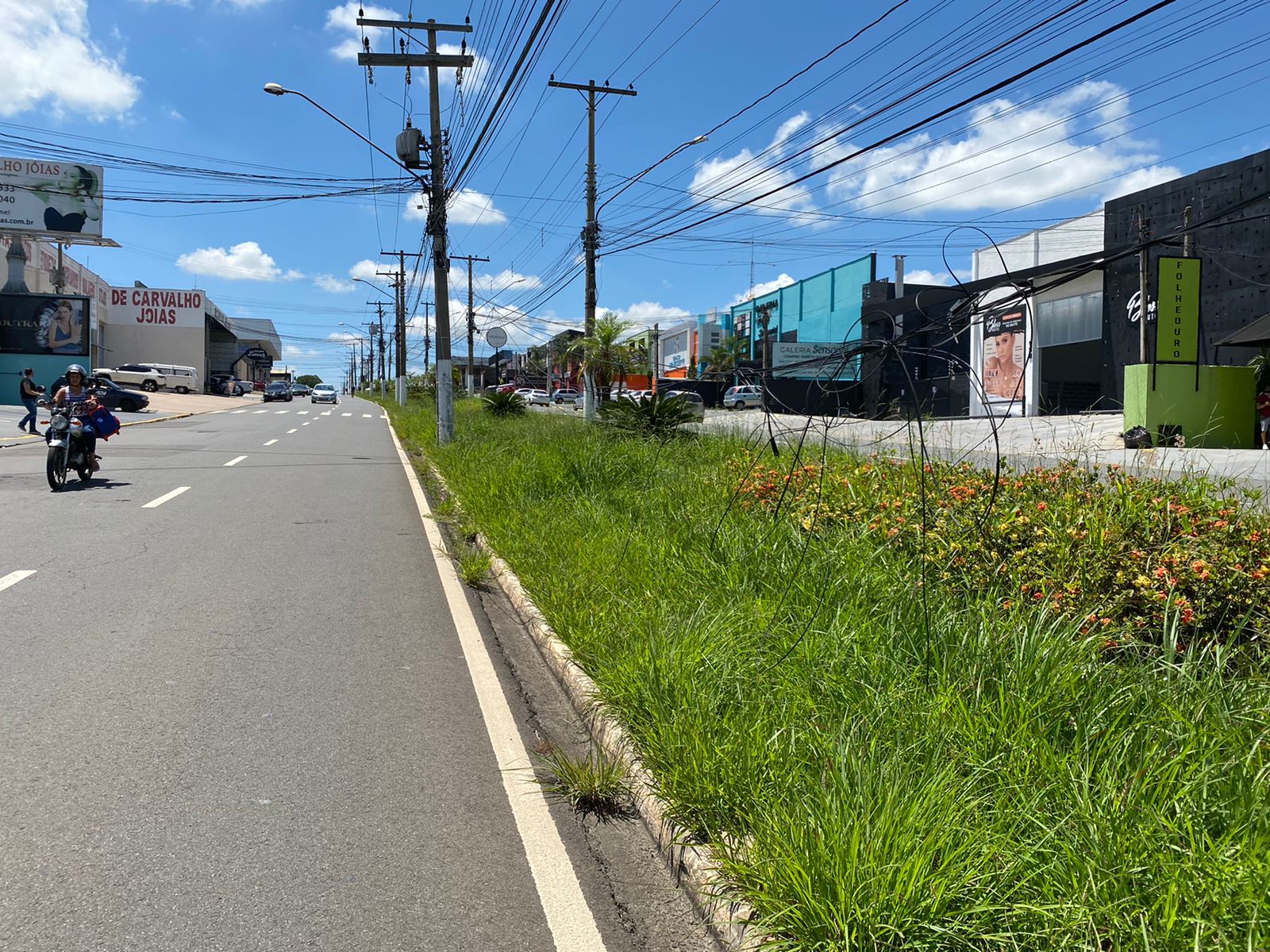 Empresários reclamam de mato alto e fios soltos no canteiro central do ‘Corredor da Joia de Limeira’