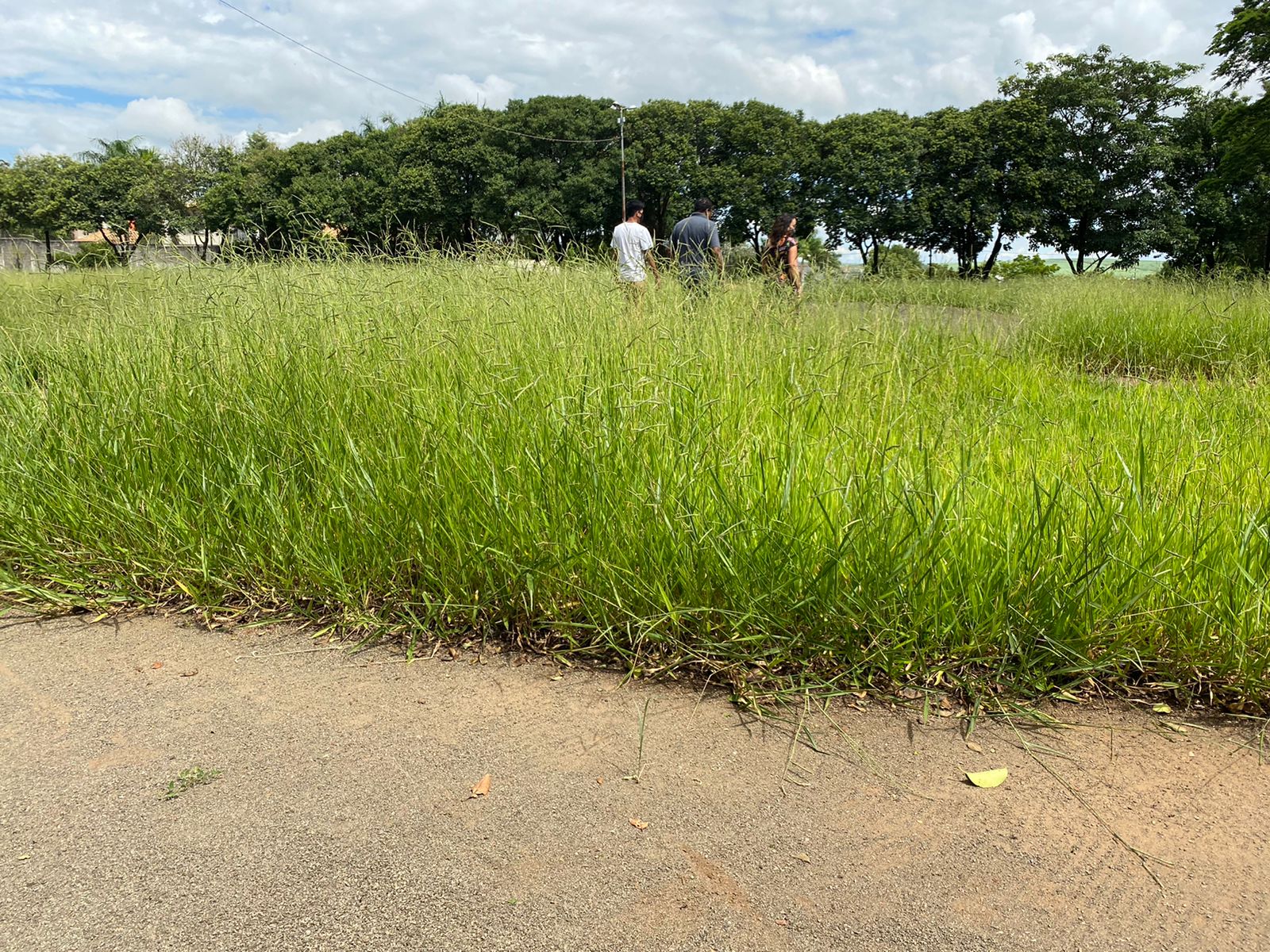 Usuários da pista da Associação Limeirense de Atletismo reclamam de falta de manutenção no espaço