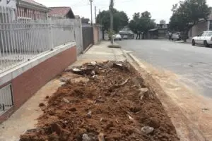 Árvore que danificou garagem de casa no Nossa Senhora do Amparo, em Limeira, é removida