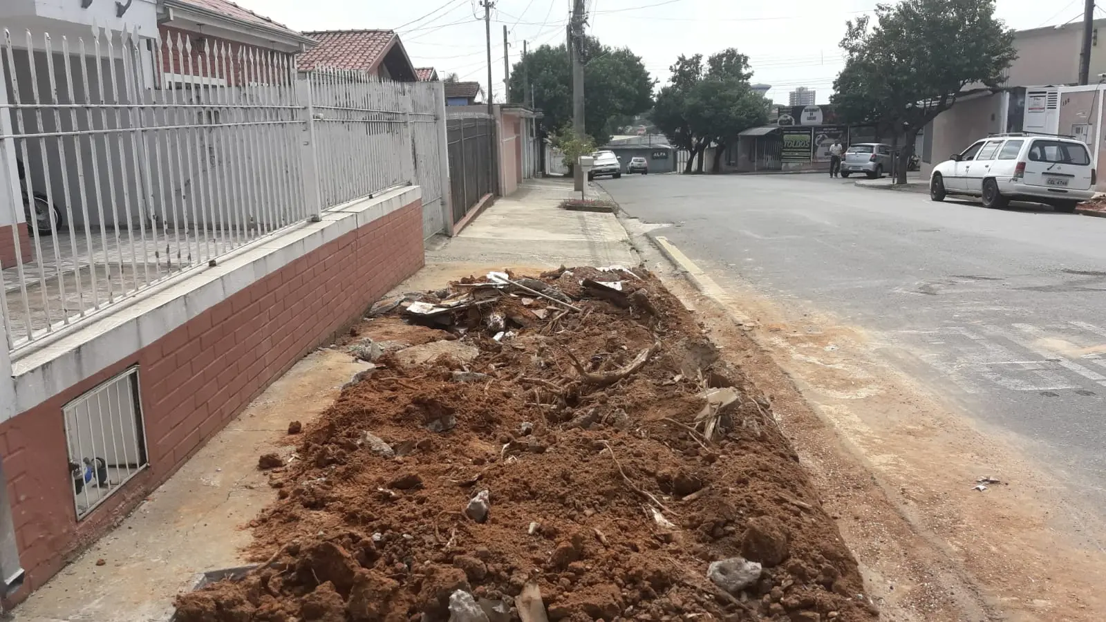 Árvore que danificou garagem de casa no Nossa Senhora do Amparo, em Limeira, é removida