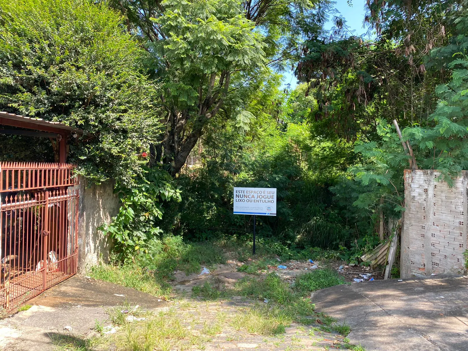 Moradores da Vila Queiroz, em Limeira, pedem limpeza de área pública com acúmulo de lixo
