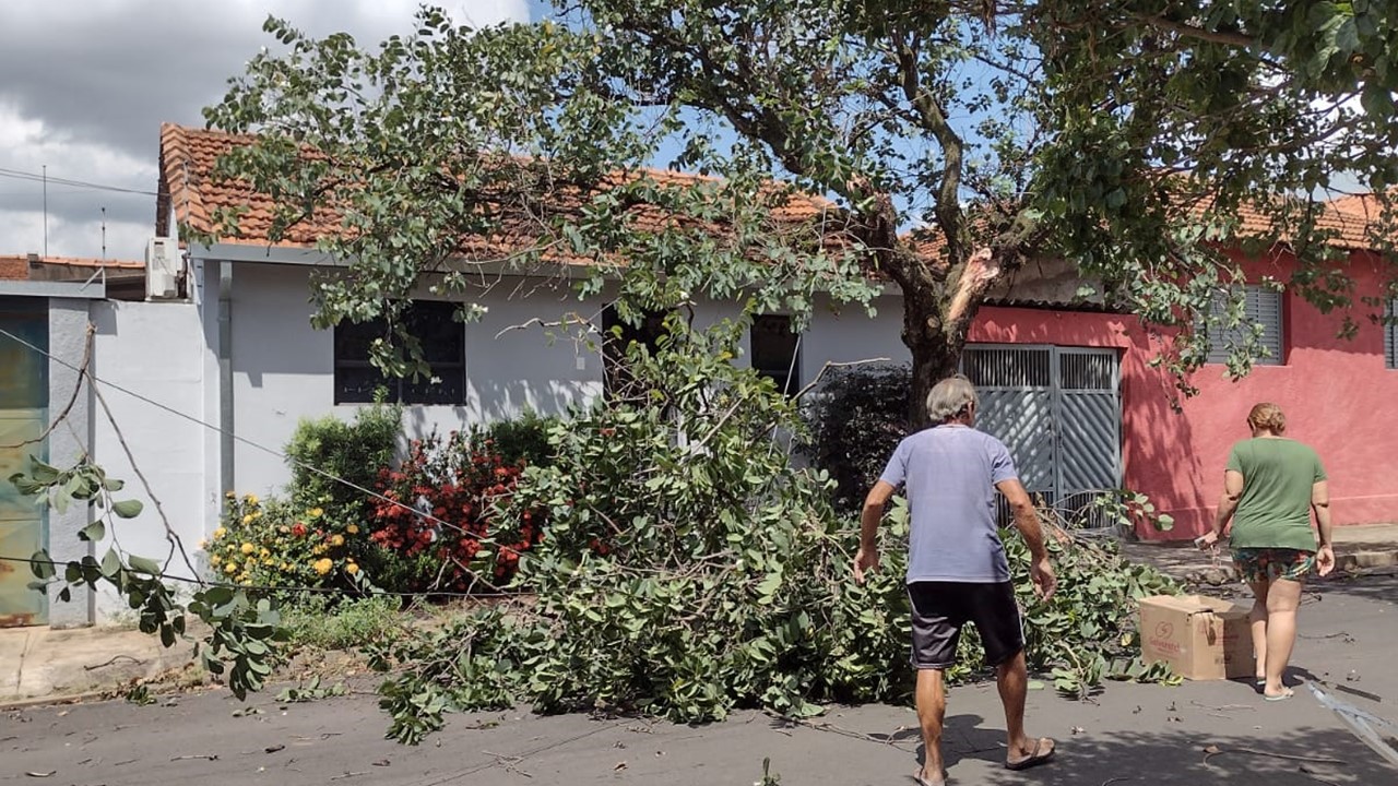 Moradores pedem retirada de árvore atingida por caminhão na Vila Cristóvam, em Limeira