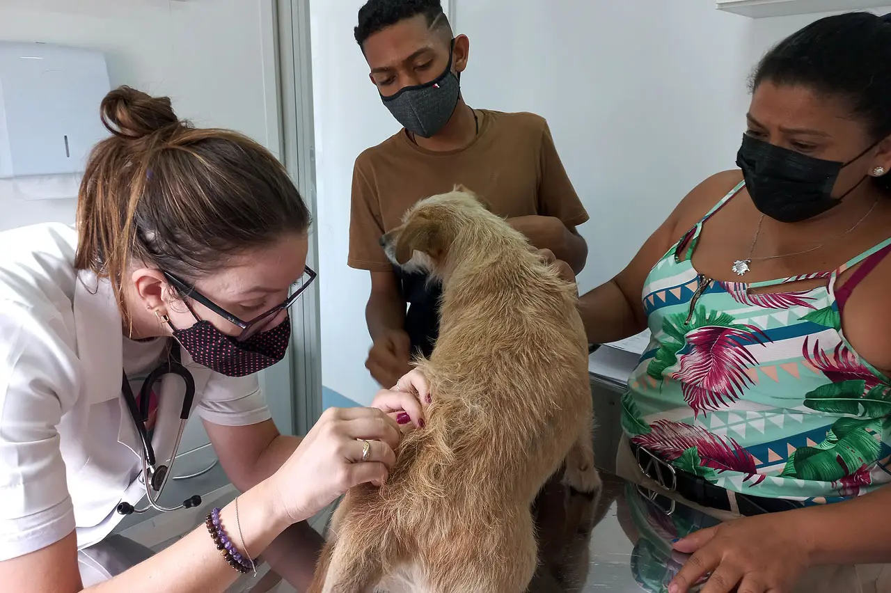 Bem-Estar Animal fica no Parque Hipólito até sexta-feira (25) com Castramóvel