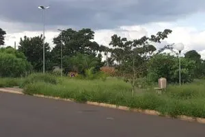 Moradores reclamam de praça com mato alto, aranhas e escorpiões nMoradores reclamam de praça com mato alto, aranhas e escorpiões no Residencial Santa Clarao Residencial Santa Clara