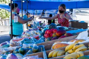 Com previsão de chuvas abaixo da média, verduras e legumes devem continuar caros no outono