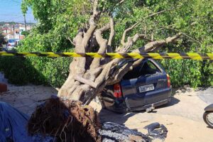 Árvore cai sobre carro durante vendaval no Ernesto Kuhl, em Limeira