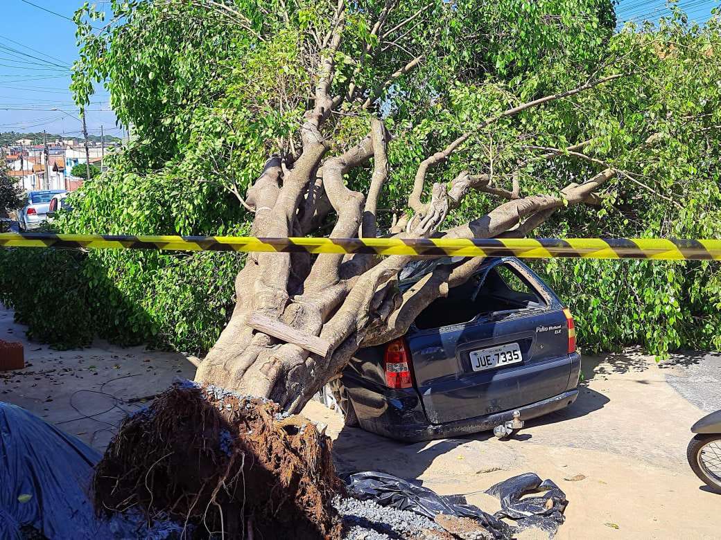 Árvore cai sobre carro durante vendaval no Ernesto Kuhl, em Limeira