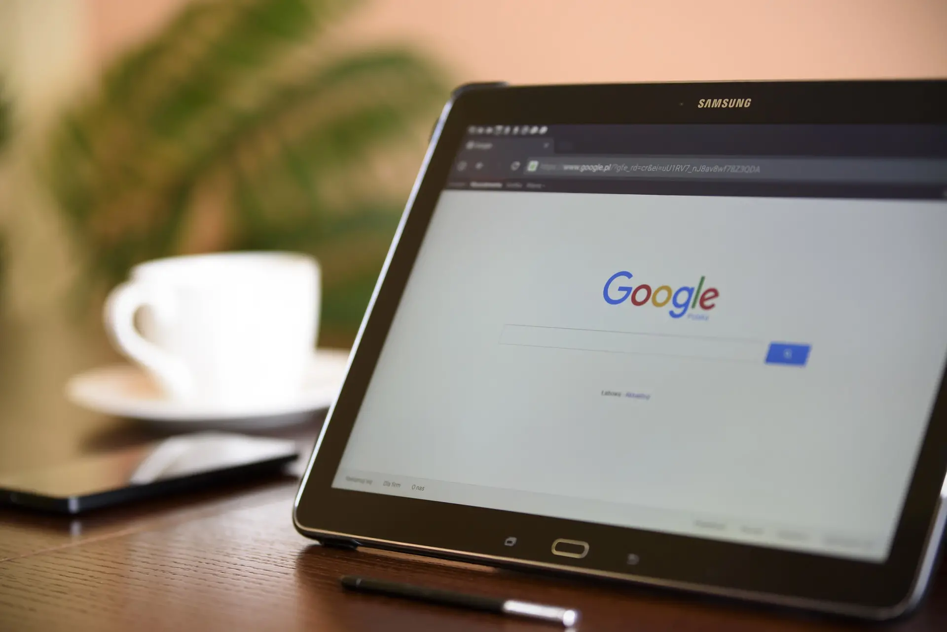 https://elimeira.com.br/wp-content/uploads/2022/03/internet-search-engine-1433323_1920.jpg