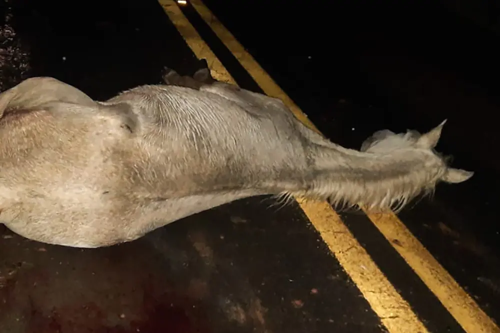 Motociclista morre em acidente na Rodovia Limeira-Artur Nogueira