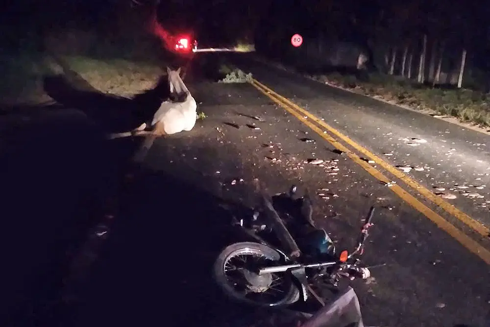Motociclista morre em acidente na Rodovia Limeira-Artur Nogueira