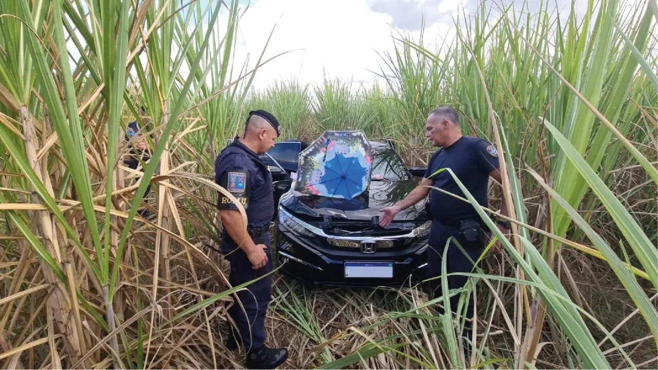 GCM localiza em canavial veículo furtado na última sexta-feira (29) em Limeira
