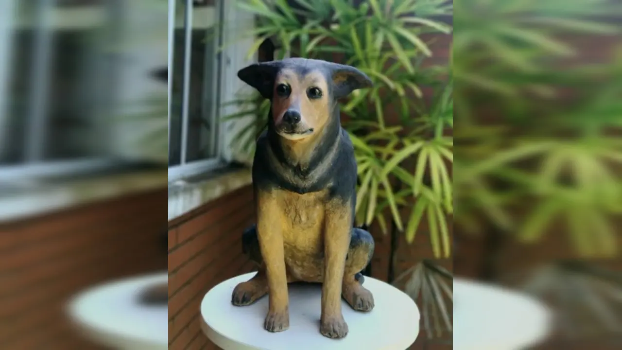 Parque Cidade de Limeira pode ganhar mais um monumento em homenagem a animal vítima de maus-tratos