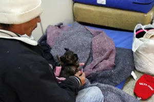 moradores de rua frio Limeira