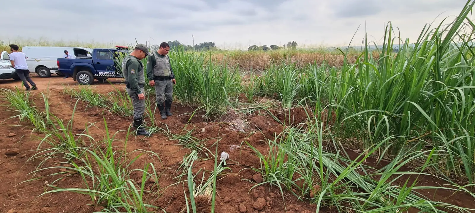 guarda encontra ossada Limeira