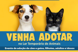 Lar Temporário de Animais abre para adoção de animais no sábado