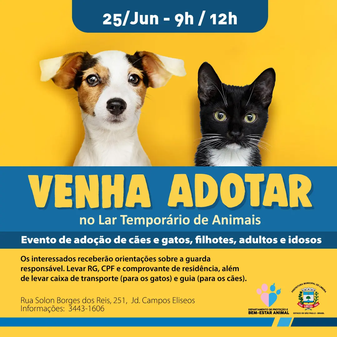 Lar Temporário de Animais abre para adoção de animais no sábado