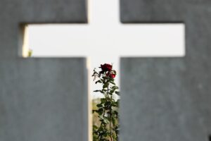 Projeto para cobrar taxa de túmulo em cemitério é aprovado em Araraquara