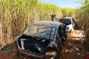 GCM localiza cemitério de carros roubados em zona rural de Limeira
