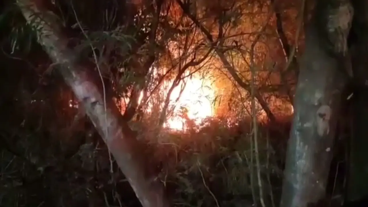 Fogo em mato lidera chamas ao Corpo de Bombeiros de Limeira em 2022