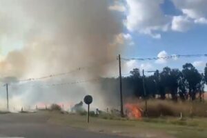 Incêndio às margens da Rodovia Anhanguera é registrado na tarde desta quarta-feira (20)