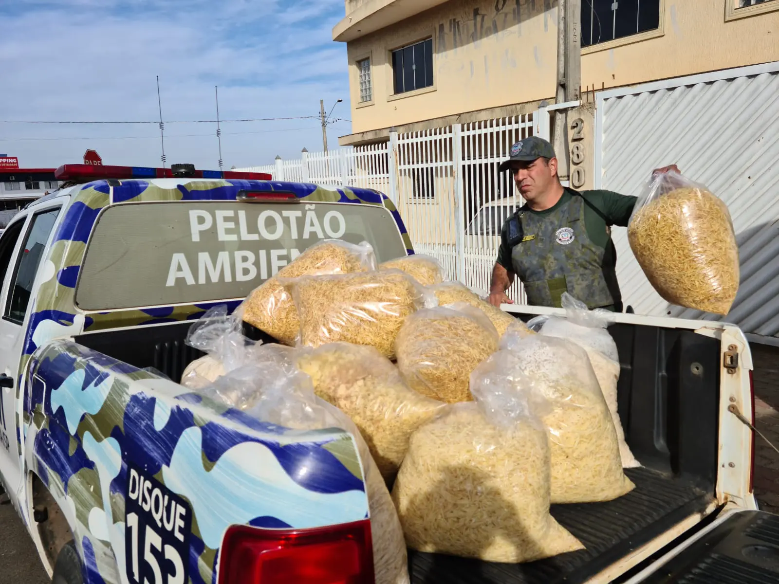 fábrica de batata palha Limeira