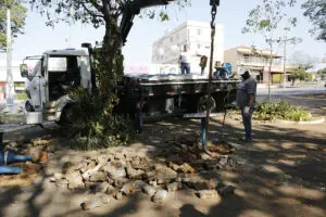 Começa reforma da praça da Avenida Maria Buzolin em Limeira