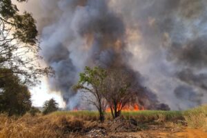 Incêndio de grandes proporções atinge região dos Pires, em Limeira