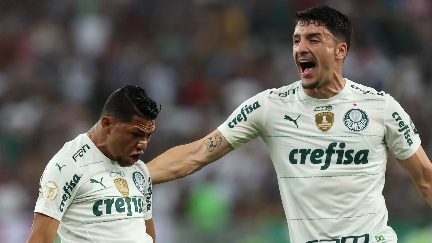 Palmeiras empata com o Fluminense