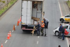 Cães farejadores da GCM identificam caminhão com drogas no anel viário de Limeira