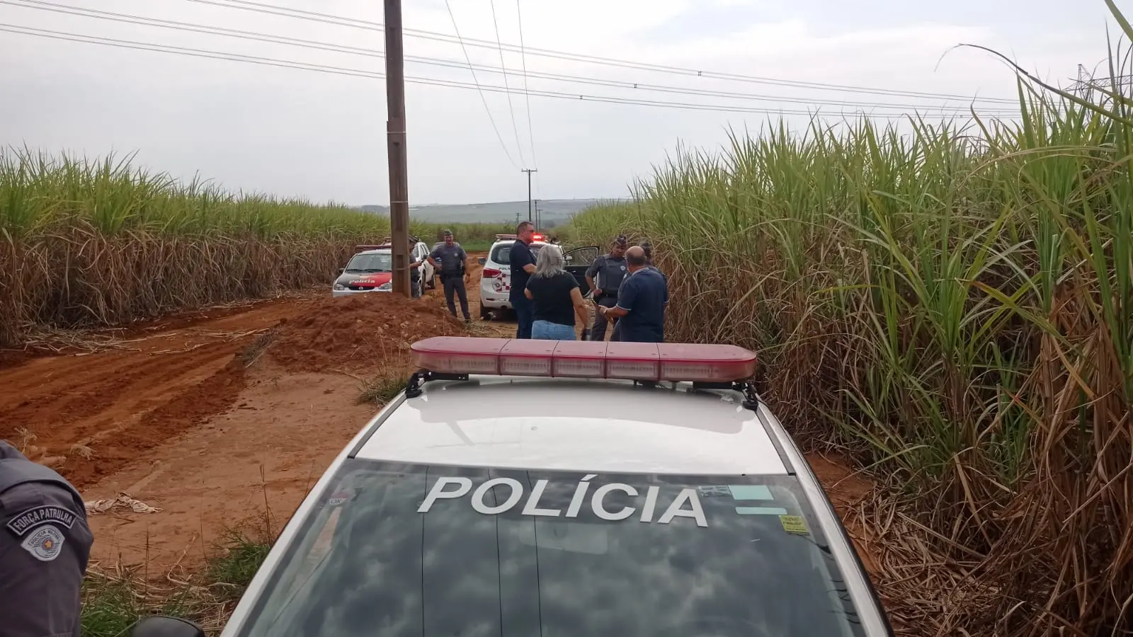 Corpo encontrado em canavial seria de mulher morta por organização criminosa