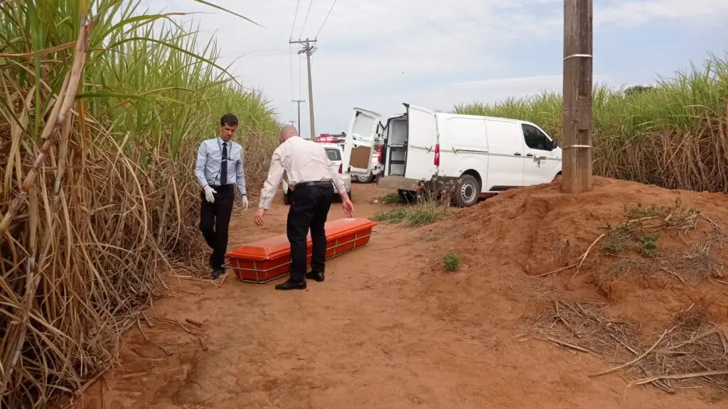 Corpo de mulher é encontrado em canavial de Limeira